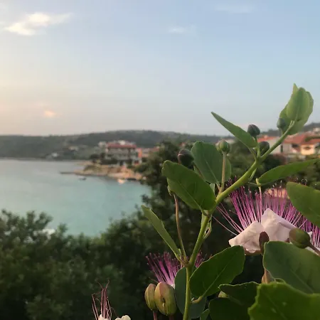 Chiara Villa